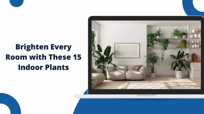 Brighten Every Room with These 15 Indoor Plants