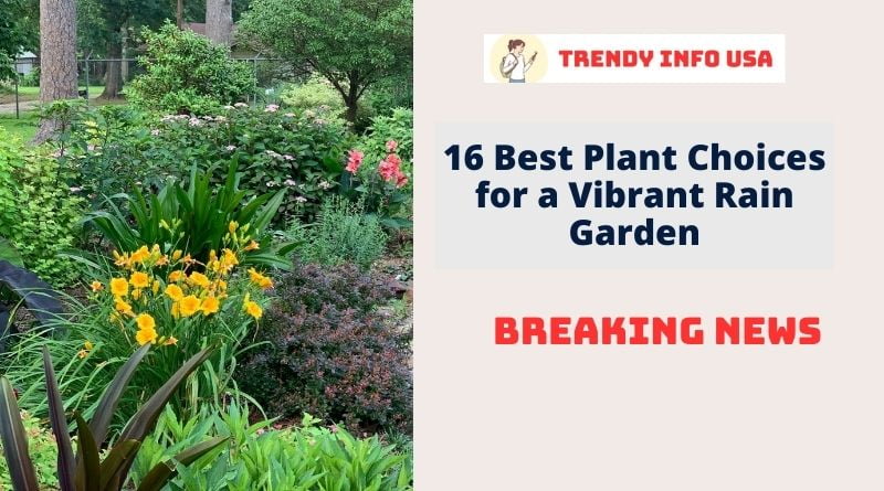 16 Best Plant Choices for a Vibrant Rain Garden