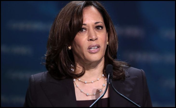 Kamala Harris' Strategy to Stay the Course and Dispel Biden Replacement Theories